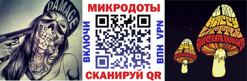 сколько стоит  Хасавюрт  Галлюциногенные грибы Psilocybe 